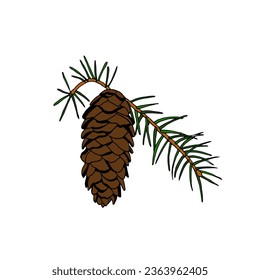 Fir cone on a branch. Vector color illustration in the style of doodles.