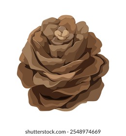 Um cone de abeto sobre um fundo branco. Ilustração vetorial.
