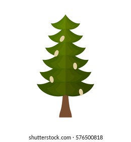 Fir with cones isolated. Christmas tree for holiday
