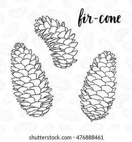 Fir cones. Vector illustration. Hand drawn vector illustration. Collection of pine cones on seamless pattern. Forest design elements