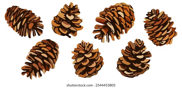 Fir cones. Vector set isolated on white background.