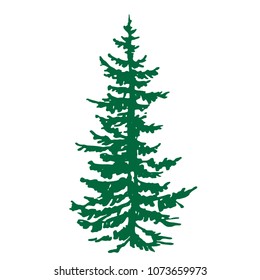 Fir coniferous evergreen tree silhouettes vector illustration isolated on white background