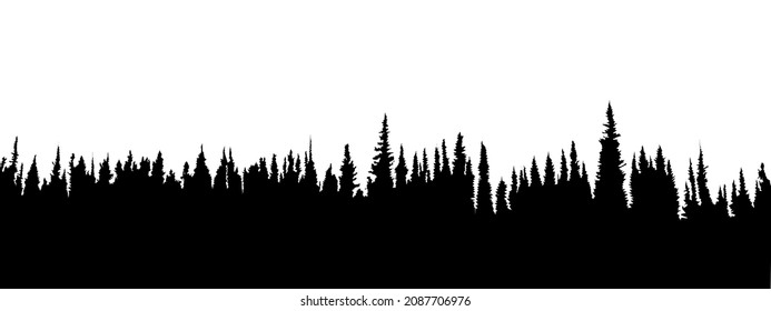 Ilustración forestal de árboles de coníferas de Pir. 