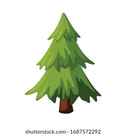 Fir Evergreen Tree, Christmas and New Year Symbol, Traditional Holiday Decoration Vector Illustration