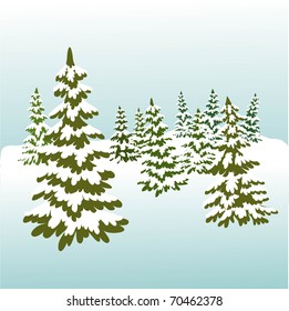 Fir Forest
