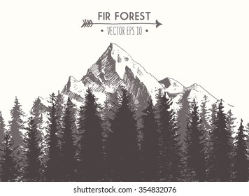 Fir forest background with contours of the mountains, hand drawn vector illustration