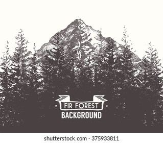 Fir forest background with contours of the mountains, hand drawn vector illustration
