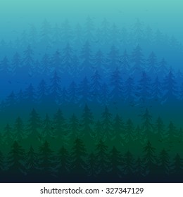 Fir forest in the fog