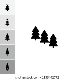 Fir icon. collection of 6 fir filled icons such as pine tree, christmas tree. editable fir icons for web and mobile.