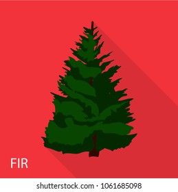 Fir icon. Flat illustration of fir vector icon for web