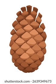 Fir or pine cone. Nature decoration symbol, forest sign. Isolated on white background. Set hand drawn coniferous cone. Colored vector illustration