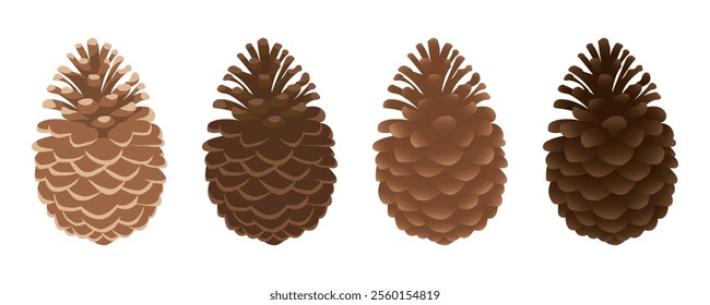 Fir or pine cones set. Open cones isolated on white background. Vector illustration
