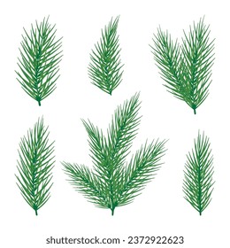 Fir or pine leaves trees branches elements set