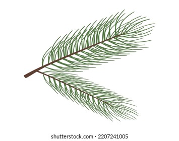 Fir or pine tree branch isolated on white. Spruce tree branch with evergreen needles. Fresh forest sprig. vector illustration eps10