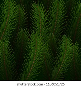 Fir tree background. Christmas tree realistic branches