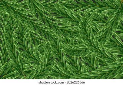 Fir tree background. Evergreen fir tree branches. Graphic design. Vector illustration.