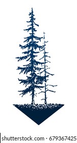 Fir tree badge. Two trees, young and dry standing on a triangle. Travel symbol, tourism. Hand drawn illustration in engraving style. Card design. Vector vintage concept isolated on white background.