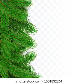 Fir tree border background. Christmas tree brancher. Realistic New Year seasonal decorations. Vector illustration
