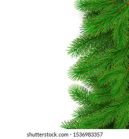 Fir tree border background. Christmas tree brancher. Realistic New Year seasonal decorations. Vector illustration isolated on white background