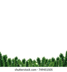 Fir Tree Border, Vector Illustration
