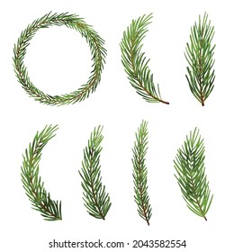Fir tree branch christmas tree. Spruce pine tree branch isolated on white background.