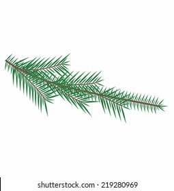 fir tree branch christmas vector