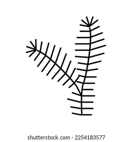 fir tree branch color icon vector. fir tree branch sign. isolated symbol illustration