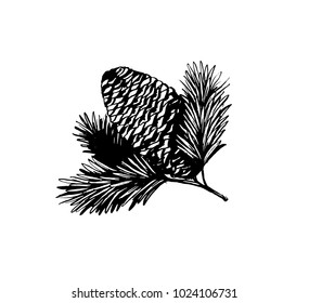 Fir tree branch with cone ink sketch vector illustration