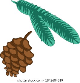 Fir tree branch and fir cone for Winter and Christmas collection - color isolated elements on white background. Vector illustration.