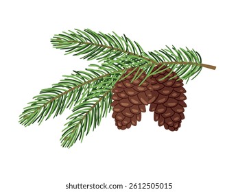Fir tree branch with cones vector illustration original artwork