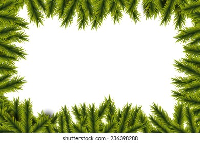 Fir Tree Branch Frame
