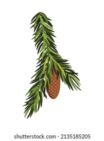 Rama de árbol de aves con cono colgante. Rama de abeto verde como elemento de decoración de color verde natural para la pancarta. Isolación en ilustración vectorial blanca