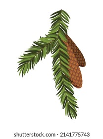 Rama de árbol de aves con cono colgante. Rama de abeto verde como elemento de decoración de color verde natural para la pancarta. Isolación en ilustración vectorial blanca