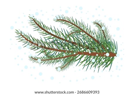 Fir tree branch isolated on white background. Spruce twig with snow. Winter herringbone twig. Christmas evergreen snowy branch.Forest plant.Festive tree twig for Xmas holiday.Stock vector illustration
