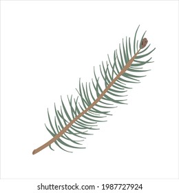 Fir tree branch with pine cone, hand drawn vector illustration, modern colored clipart of christmas tree isolated on white background, detailed art