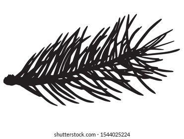 Fir tree branch silhouette, vector illustration.