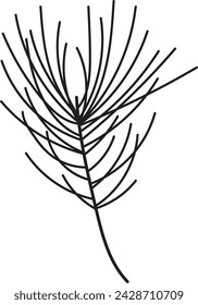 Fir Tree Branch Silhouette Vector Illustration