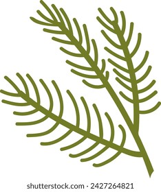 Fir Tree Branch Vector Illustration