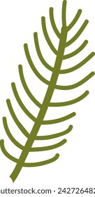 Fir Tree Branch Vector Illustration