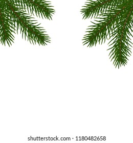 Fir tree branches background. Isolated Christmas tree brancher. Realistic winter seasonal decorations