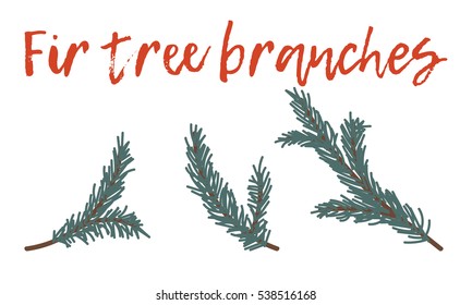 Fir tree branches isolated on white background. Vector decorative elements. Set of christmas tree branches