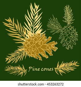 Fir tree branches with pine cone in golden color. Vector illustrations