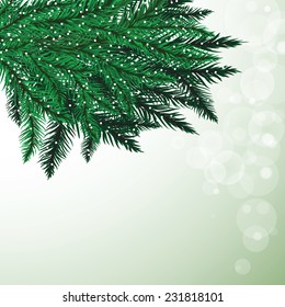 Fir tree branches and snowflakes on colorful background. Christmas vector illustration. 