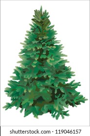 Fir tree for Christmas on white background