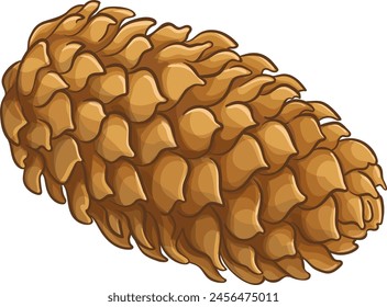 fir tree cone colored illustration