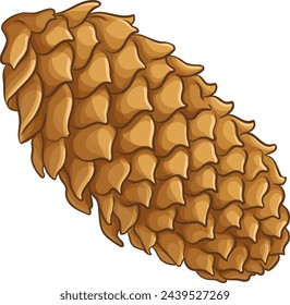 Fir tree Cones Colored Detailed Illustration