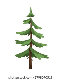 Fir tree. Coniferous forest plant, firtree. Green conifer, trunk and branches. Evergreen spruce, botanical nature element for landscaping. Flat cartoon vector illustration isolated on white background