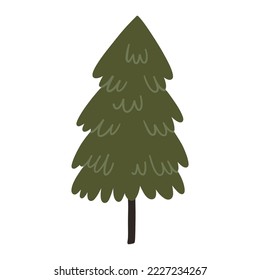 Fir tree. Hand drawn Christmas winter illustration
