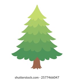Fir tree Hand drawn forest plant flat style isolated pine tree. Green crowns foliage Botanical For web graphic design, poster. Vector illustration