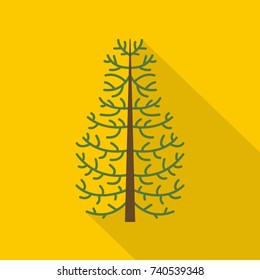 Fir tree icon. Flat illustration of fir tree vector icon for web